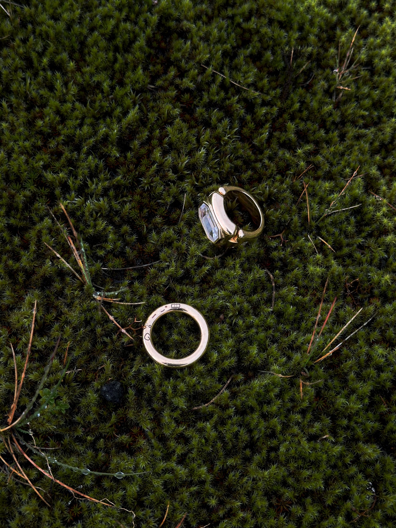 Two rings on a bed of green moss